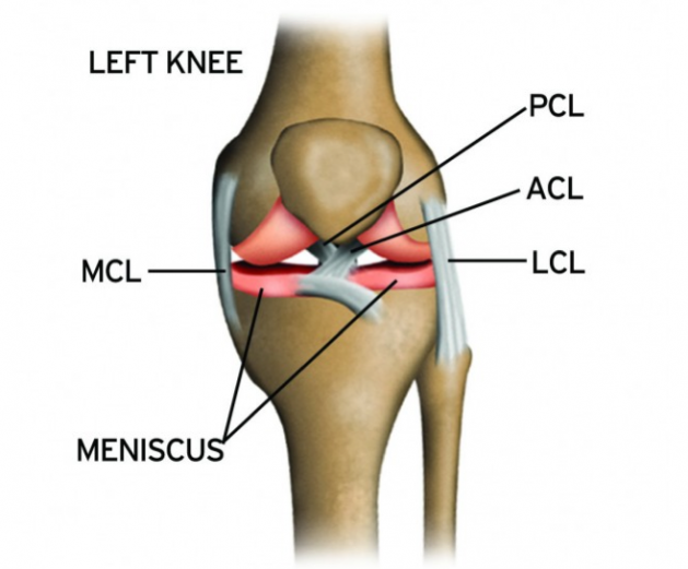 The Knee Knowledge Series: PCL Sprain